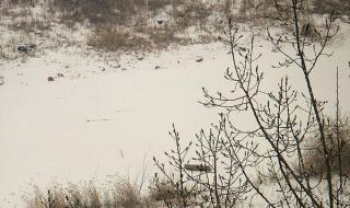 南方小年下雪的文案 小年下雪有什么预兆